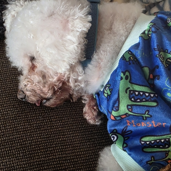 ๐ฆ ABOUT ME ๐ฆ โจ JEWELRY โจ - Picture 7 of 16